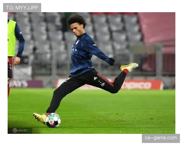 萨内职业生涯解析